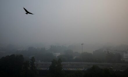 India’s capital introduces stricter anti-pollution measures as toxic smog hides Taj Mahal