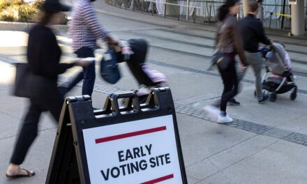 Video of Haitian migrants saying they plan to vote multiple times in Georgia is Russian-made: US intel