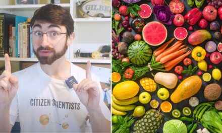 ‘I went on a vegan diet and my cholesterol went up — here’s why’