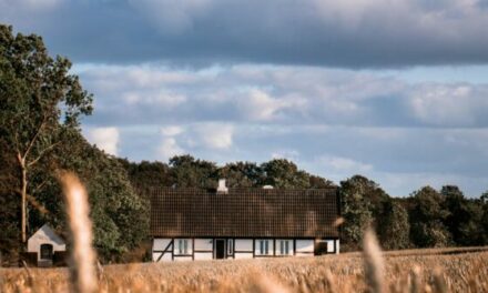 Denmark Set to Convert 10 Per Cent of Country’s Farmland Into Forests