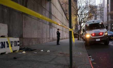 Suspect in custody after New York City stabbing spree leaves 2 men dead, woman with critical wounds: police