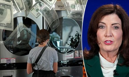 Hochul spearheads plan to pay NYers to switch to green appliances amid state money woes