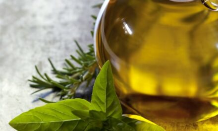 Science-backed benefits of oregano essential oil for skin health