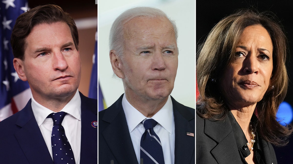 Dean Phillips, Biden, Harris