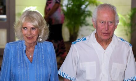 Queen Camilla forced to cancel events due to chest infection