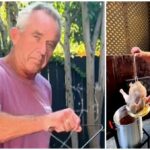 RFK Jr.’s ‘MAHA’ Turkey Fried In Beef Tallow Triggers The Unhealthy Libs