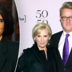 MSNBC contributor trashes network, shreds ‘Morning Joe’ colleagues over Trump meeting: ‘This is not working’