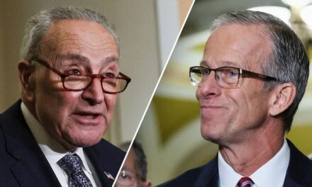 Senate GOP initiates Thune-engineered slow down as Schumer looks to stack judicial votes