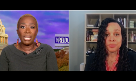 Joy Reid Suggests Democrats Avoid Trump Supporting Relatives During the Holidays (Video)