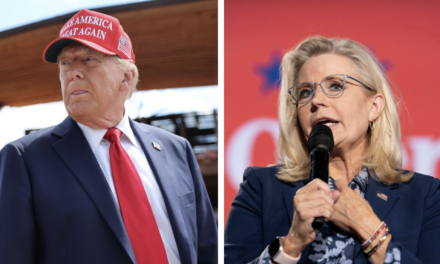 Media’s Lies About Trump’s Liz Cheney Comments Highlight Why Trust In Media Is At An All-Time Low