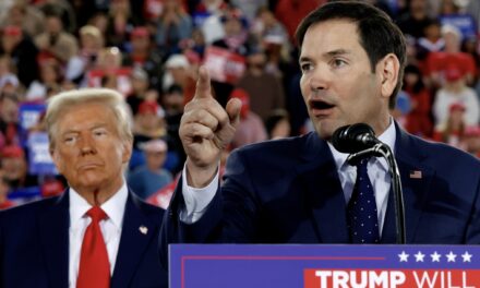 Trump Expected to Appoint Senator Marco Rubio as Secretary of State: Report