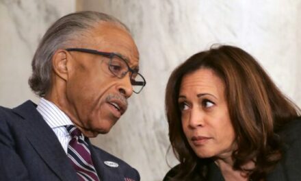 Nolte: MSNBC Staffers Upset over Sharpton’s $500K Payola from Kamala