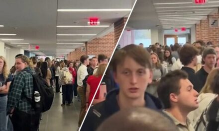 College students at Liberty University in Virginia make ‘huge line’ to vote in presidential election: video