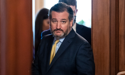 Cruz: Harris made mistake by tapping Walz instead of PA’s Shapiro for VP