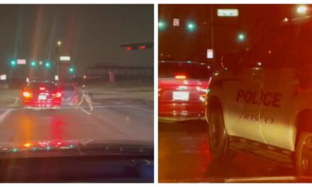 Texas Woman’s Twerking Performance In Middle Of The Road Interrupted By Police