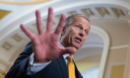 BREAKING : John Thune Elected Senate Majority Leader in Blow to MAGA Conservatives – Mitch McConnell Lackey, Trump-Hater, and War-Monger Wins Majority Leader