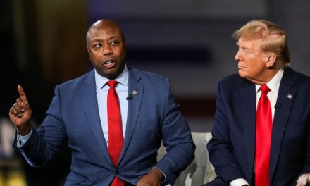 Tim Scott launches bid to chair NRSC as GOP seeks to capitalize on new minority gains