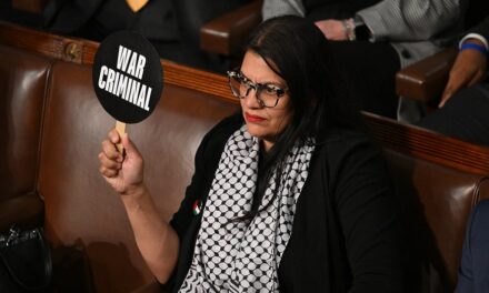 Rashida Tlaib refuses to endorse Kamala Harris as Gaza war takes toll on Dem voter base