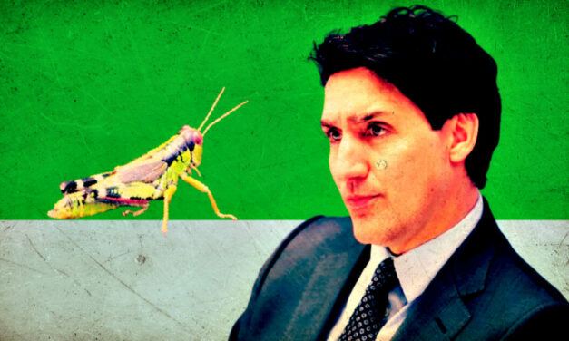 Globalist Trudeau Went All in With Feeding Insects to Canadians – Embattled Prime Minister Blew $9 Million in Failed Edible Cricket Factory