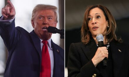 ‘Enjoy retirement’: Veteran pollster mocked after Harris prediction in Iowa was ‘shockingly wrong’