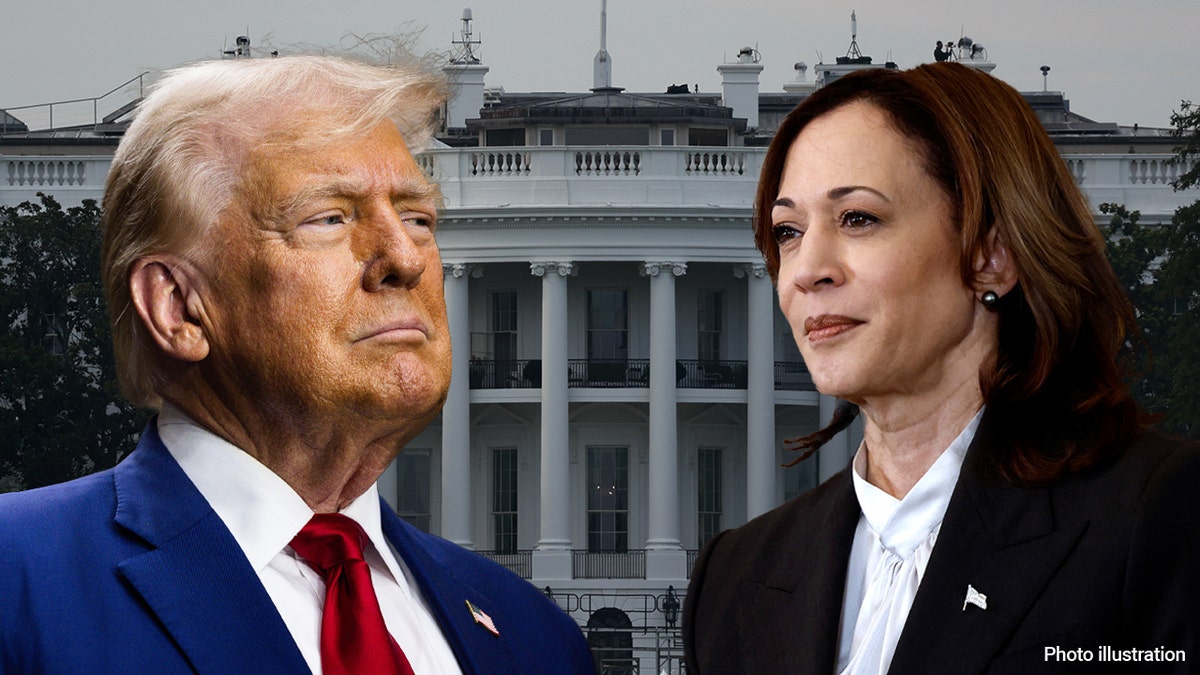 Trump, Harris in photo illustration