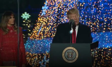 Making Christmas Great Again: Trump Supporters Poised to Spend More on Holiday Shopping, While Harris Voters Cut Back