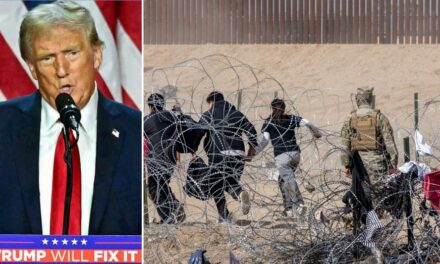 ‘TRUE!!’: Trump confirms support for major step in mass deportation push to ‘reverse the Biden invasion’