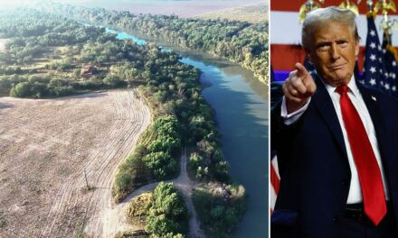 ‘100% on board’: Border state offers Trump massive plot of land to aid mass deportation operation