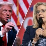 Even liberals, Trump critics blast media’s coverage of Liz Cheney comments: ‘A bald-faced lie’