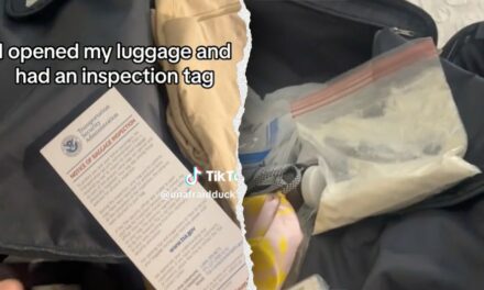 Airline passenger gets flagged by TSA after leaving mystery powder in bag