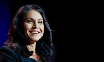 Tulsi Gabbard as DNI Has the National Security “Experts” Worried