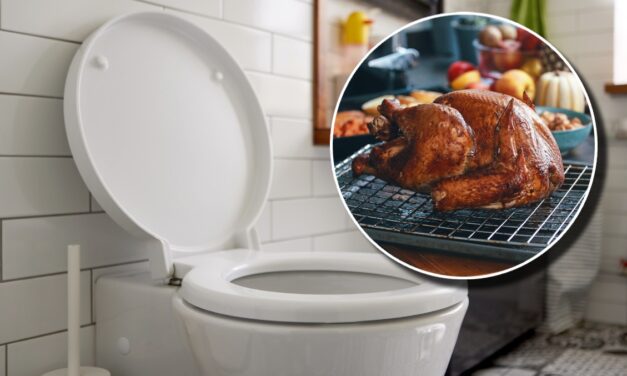 Prepping A Turkey In The Toilet: Innovative, Psychotic, Or A Great Way To Get Social Media Heat?