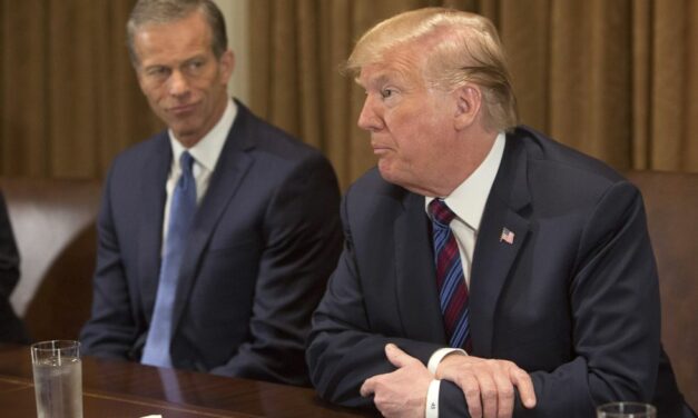 Thune works to smooth out rocky relationship with Trump