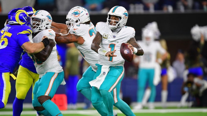 The Miami Dolphins over the Green Bay Packers on Thanksgiving in NFL Week 13 is one of my five picks in the Circa Million VI contest. (Gary A. Vasquez-Imagn Images)