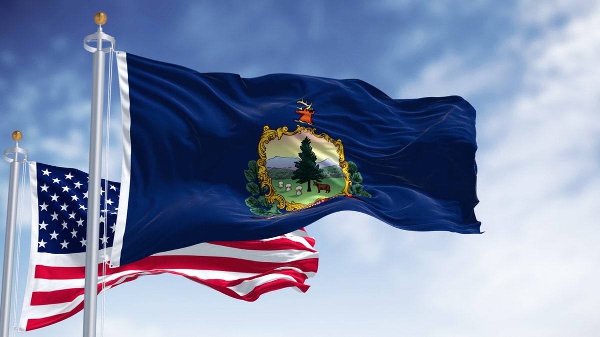 American and Vermont flag