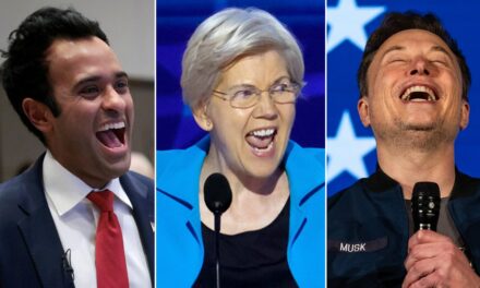 Elizabeth Warren gets sarcastic after Trump taps Musk, Ramaswamy for DOGE: ‘Yeah, this seems REALLY efficient’