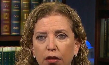 Wasserman Schultz: ‘This Was Not a Republican Wave,’ There Is ‘No Mandate Here’