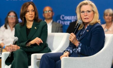 Whoopi wants Liz Cheney to serve in key role in Harris administration