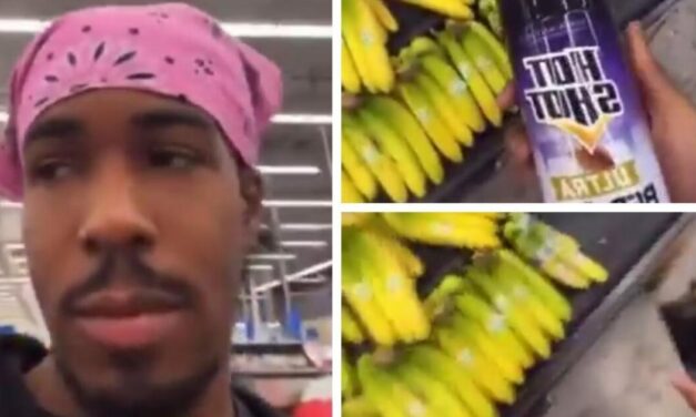 Police Arrest TikTok ‘Prankster’ For Spraying Poison All Over Food in Walmart, Causing $1 Million in Damage, and Posting Video of Crime to Social Media