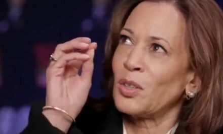 ‘The Hill’ Floats a Ludicrous Plan to Declare Kamala Harris President – Warns Lawmakers ‘Must Act Now’