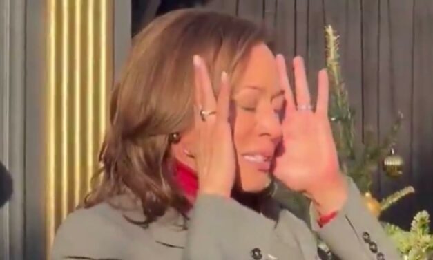 Kamala the Grinch: Failed Presidential Nominee Has Horrific Christmas Message for Dem Staffers