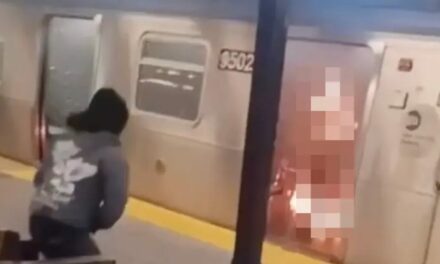 Horrific Video Shows Man Sitting on Bench Watching Woman Burn to Death After He Lit Her on Fire in NYC Subway