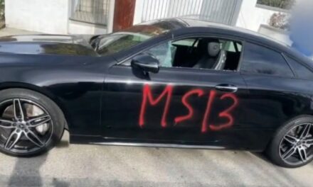 Los Angeles Residents Woke Up on Christmas Morning to Cars Vandalized with MS-13 Tags (VIDEO)