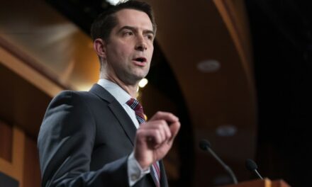 ‘No One Should Be Surprised’: Cotton Makes Prediction on Confirmation Chances of ‘All’ Trump Nominees