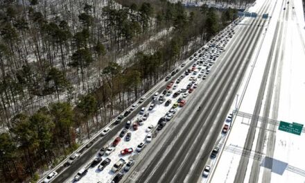 A Way-Too-Early Forecast for Snow in the South Is Going Viral