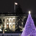 Debunking the Myth: Your Christmas Tree Is Not Pagan