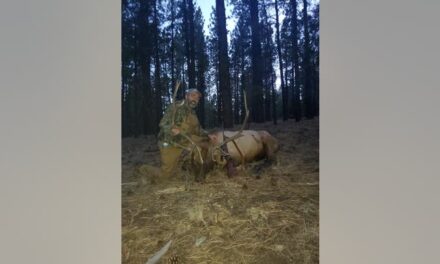 Hunter Kills Massive Elk, Shares Epic Photo