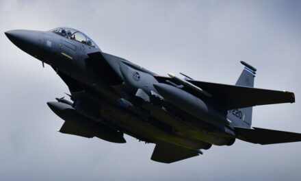 How the F-15E Strike Eagle Became a ‘Fighter Jet’ for 1 Day