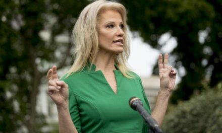 Kellyanne Conway Needs Only Two Words to Explain Why More Women Didn’t Turn Out for Kamala Harris