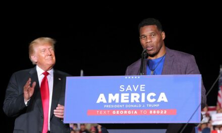 New mission for longtime Trump ally and friend Herschel Walker